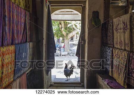 Rooster and Balinese fabrics for sale in a store, Tenganan Pegringsingan, Bali, Indonesia View Large Photo Image Stock Photography - Rooster and Balinese fabrics for sale in a store, Tenganan Pegringsingan, Bali, Indonesia. Fotosearch