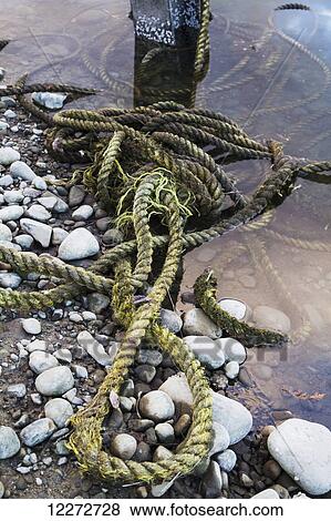 Stock Photo - Ropes in the Seymour River by Allied Shipbuilders, North Vancouver, British Columbia, Canada. Fotosearch