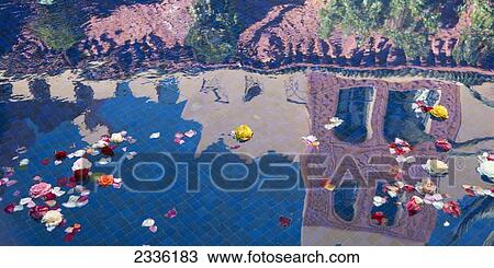 Stock Image - Roses And Petals Floating In The Tranquil Water Reflecting The Buildings; Marrakech-Tensift-El Haouz, Morocco. Fotosearch