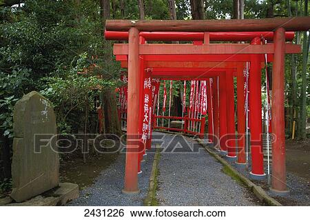 rouges, pergola, à, rd, poteaux, doublure, a, path;, japon banque de