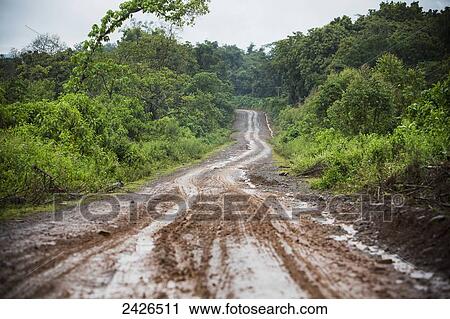 Rough dirt road in the highlands of western Ethiopia; Ethiopia View Large Photo Image Stock Image - Rough dirt road in the highlands of western Ethiopia; Ethiopia. Fotosearch