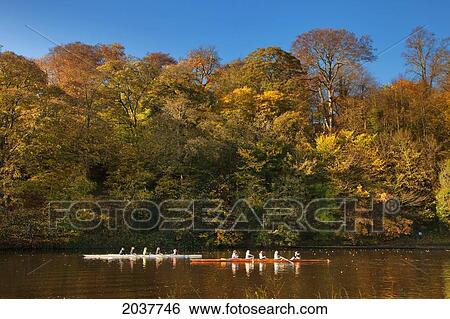 Stock Photograph - Rowers In Boats Travelling Down A Tranquil River In Autumn; Durham England. Fotosearch