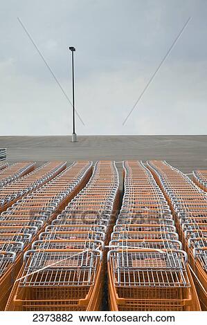 Stock Image - Rows Of Orange Shopping Carts; Ontario, Canada. Fotosearch