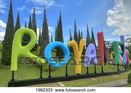 Stock Image - Royal Flora At Rachapreuk Royal Gardens Festival; Chiang Mai Thailand. Fotosearch