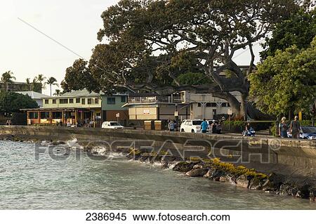 Stock Photography - Royal Kona Resort; Kona, Island of Hawaii, Hawaii, United States of America. Fotosearch