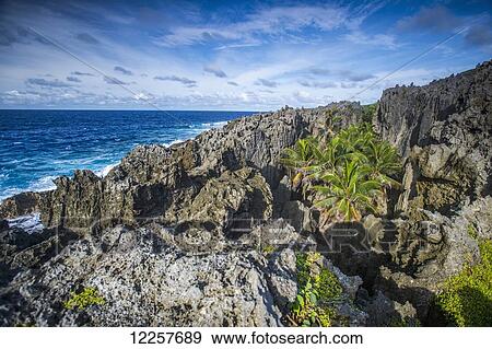 Rugged coastline; Niue View Large Photo Image Stock Photo - Rugged coastline; Niue. Fotosearch