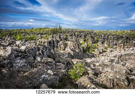 Rugged interior of Nauru Island; Nauru View Large Photo Image Stock Photo - Rugged interior of Nauru Island; Nauru. Fotosearch