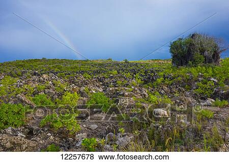 Stock Photo - Rugged interior of Nauru Island with a rainbow in storm clouds; Nauru. Fotosearch