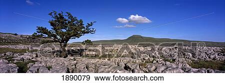 Stock Photo - Rugged Landscape And Limestone Pavement On Twistleton Scar, Overlooking Ingleborough Hill (724M/2374Ft), Near Ingleton.. Fotosearch