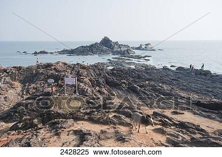 Stock Photography - Rugged rock formations along the coast and people walking along the shore; Gokarna, Karnataka, India. Fotosearch