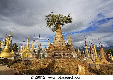 Ruined pagodas on Ingle Lake; Bhutan View Large Photo Image Stock Image - Ruined pagodas on Ingle Lake; Bhutan. Fotosearch