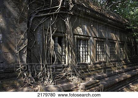 Stock Image - Ruins of Beng Melea Temple Cambodia. Fotosearch