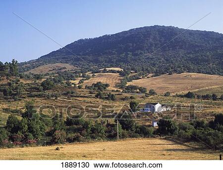 Rural Landscape View Large Photo Image Stock Image - Rural Landscape. Fotosearch
