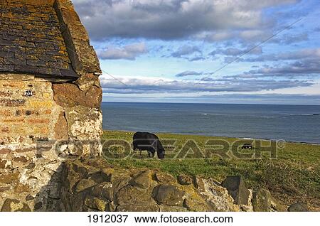 Stock Photo - Rural Scene In Low Newton, Northumberland, Uk. Fotosearch