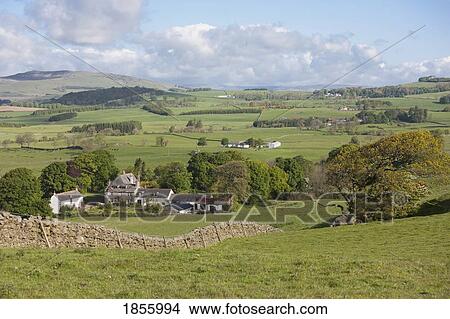 Picture - Rural Scene, Lochfoot, Dumfries And Galloway, Scotland. Fotosearch