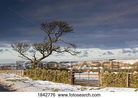 Rural Scene; North Yorkshire, England, Uk View Large Photo Image Stock Photograph - Rural Scene; North Yorkshire, England, Uk. Fotosearch
