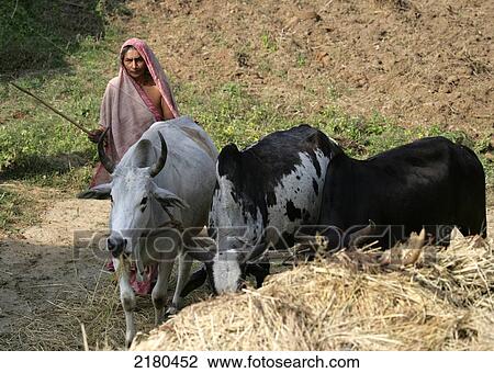 Stock Image - Rural Village Madhya Pradesh India. Fotosearch