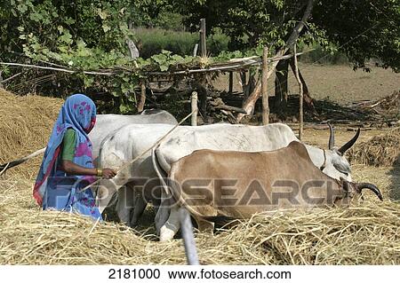 Stock Image - Rural Village Madhya Pradesh India. Fotosearch