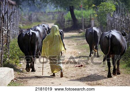 Rural Village Madhya Pradesh India View Large Photo Image Stock Photo - Rural Village Madhya Pradesh India. Fotosearch
