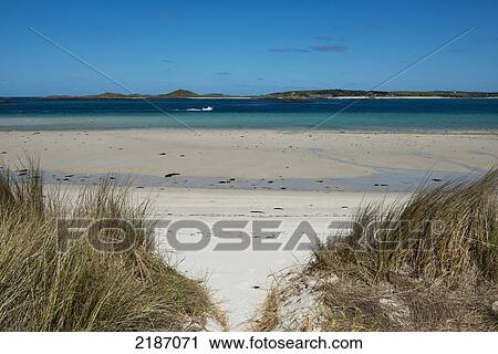 Rushy Porth Beach, Tresco, Isles Of Scilly- Cornwall, Usa View Large Photo Image Stock Image - Rushy Porth Beach, Tresco, Isles Of Scilly- Cornwall, Usa. Fotosearch
