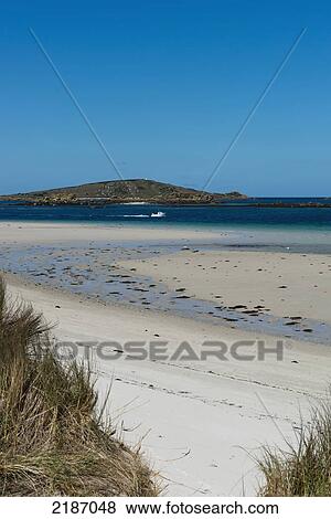 Stock Photo - Rushy Porth Beach, Tresco, Isles Of Scilly- Cornwall, Usa. Fotosearch