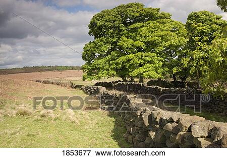 Rustic Stone Fence, North Yorkshire, England View Large Photo Image Stock Photo - Rustic Stone Fence, North Yorkshire, England. Fotosearch