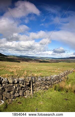 Picture - Rustic Stone Fence, Northumberland, England. Fotosearch