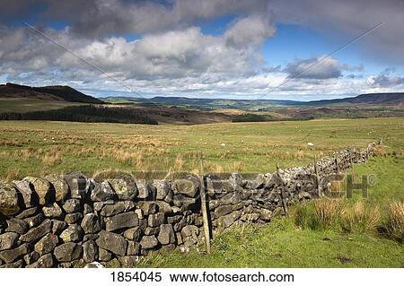 Rustic Stone Fence, Northumberland, England View Large Photo Image Stock Photography - Rustic Stone Fence, Northumberland, England. Fotosearch