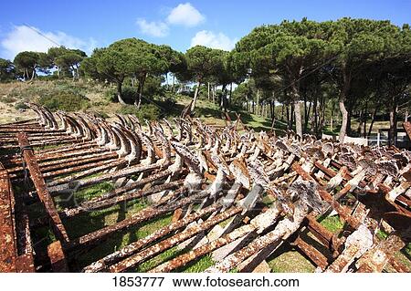 Rusty Old Anchors, Conil De La Frontera, Cadiz, Spain View Large Photo Image Stock Photo - Rusty Old Anchors, Conil De La Frontera, Cadiz, Spain. Fotosearch