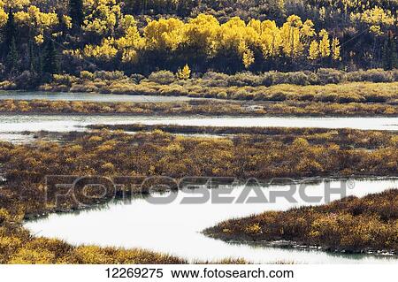 S curved river in delta with autumn colours; Calgary, Alberta, Caanda View Large Photo Image Stock Photography - S curved river in delta with autumn colours; Calgary, Alberta, Caanda. Fotosearch