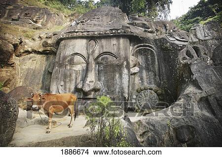 Picture - Sacred Cow At Unakoti. Fotosearch