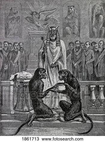 Sacrificing The Lamb During The Marriage Of The Apes From The Book The Freemason By Eugen Lennhoff Published 1932 View Large Photo Image Stock Image - Sacrificing The Lamb During The Marriage Of The Apes From The Book The Freemason By Eugen Lennhoff Published 1932. Fotosearch