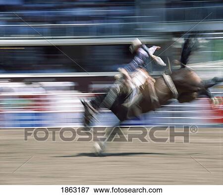 Stock Photo - Saddleback Rider, Calgary Stampede, Calgary, Alberta, Canada. Fotosearch