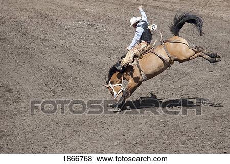 Stock Photo - Saddleback Rider, Calgary Stampede Rodeo, Calgary, Alberta, Canada. Fotosearch