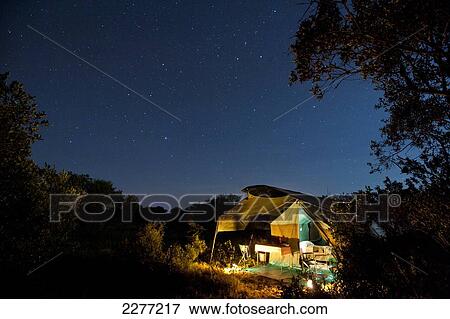 Safari tent under a starry sky at night, Ol Pejeta Conservancy; Kenya View Large Photo Image Stock Photo - Safari tent under a starry sky at night, Ol Pejeta Conservancy; Kenya. Fotosearch