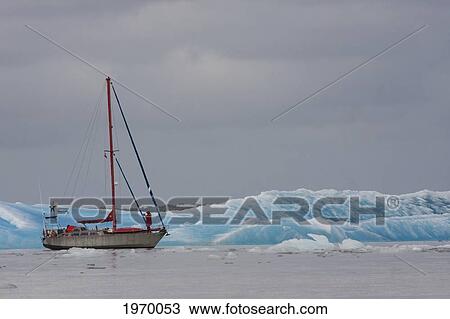 Sailboat In Laguna San Rafael, Laguna San Rafael National Park, Aysen Region, Chile View Large Photo Image Stock Image - Sailboat In Laguna San Rafael, Laguna San Rafael National Park, Aysen Region, Chile. Fotosearch