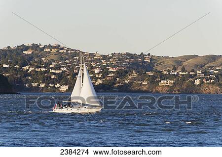 Sailboat in San Francisco Bay with houses in Belvedere, California visible in the background; San Francisco, California, United States of America View Large Photo Image Picture - Sailboat in San Francisco Bay with houses in Belvedere, California visible in the background; San Francisco, California, United States of America. Fotosearch