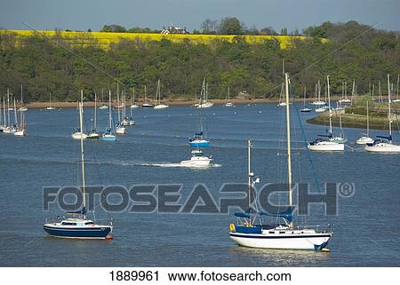 Sailboats In Harbour With Rapeseed Field In Background View Large Photo Image Stock Image - Sailboats In Harbour With Rapeseed Field In Background. Fotosearch