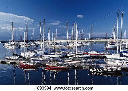 Sailboats Moored In Harbor Marina View Large Photo Image Picture - Sailboats Moored In Harbor Marina. Fotosearch