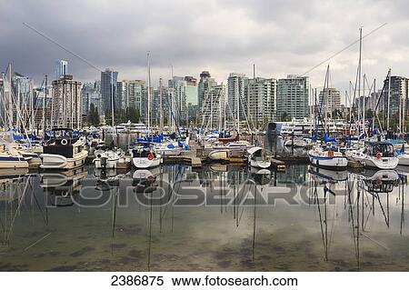 Sailboats reflected in Coal Harbour; Vancouver, British Columbia, Canada View Large Photo Image Stock Photography - Sailboats reflected in Coal Harbour; Vancouver, British Columbia, Canada. Fotosearch
