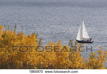 Sailing On The Glenmore Reservoir In Autumn, Calgary, Alberta, Canada View Large Photo Image Stock Image - Sailing On The Glenmore Reservoir In Autumn, Calgary, Alberta, Canada. Fotosearch