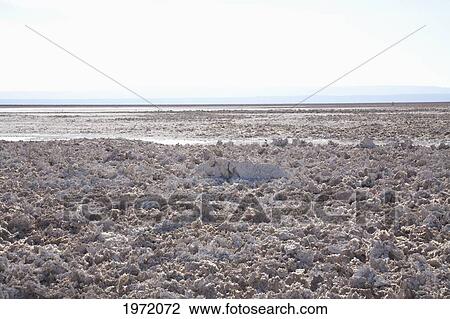 Salar De Atacama Salt Pan With The Andes Cordillera In The Background, Antofagasta Region, Chile View Large Photo Image Stock Image - Salar De Atacama Salt Pan With The Andes Cordillera In The Background, Antofagasta Region, Chile. Fotosearch