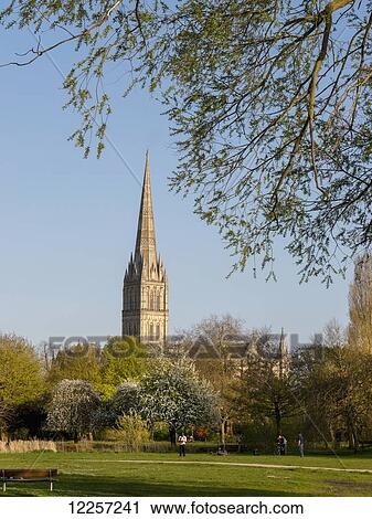 Salisbury Cathedral; Salisbury, Wiltshire, England View Large Photo Image Stock Image - Salisbury Cathedral; Salisbury, Wiltshire, England. Fotosearch