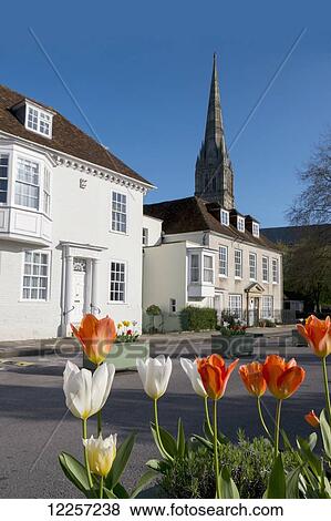 Salisbury Cathedral with blossoming tulips in the foreground; Salisbury, Wiltshire, England View Large Photo Image Stock Photo - Salisbury Cathedral with blossoming tulips in the foreground; Salisbury, Wiltshire, England. Fotosearch