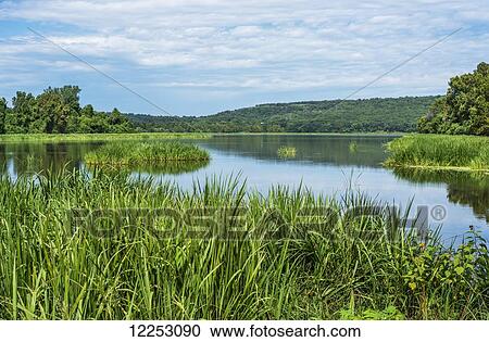 Sally Jones Lake, Sequoyah National Wildlife Refuge; Vian, Oklahoma, United States of America View Large Photo Image Stock Image - Sally Jones Lake, Sequoyah National Wildlife Refuge; Vian, Oklahoma, United States of America. Fotosearch
