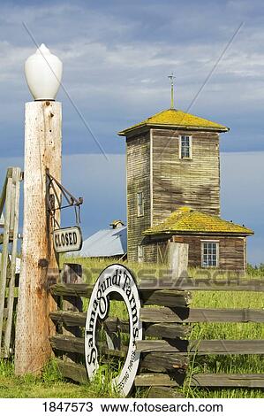 Stock Image - Salmagundi Farm; Whidbey Island, Washington State, Usa. Fotosearch
