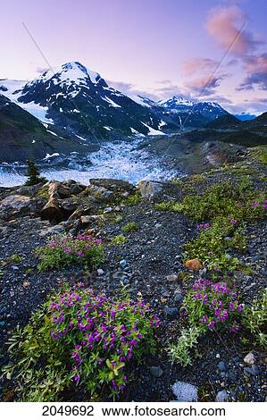 Stock Image - Salmon Glacier At Dusk, Northern British Columbia. Fotosearch