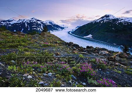 Salmon Glacier At Dusk, Northern British Columbia View Large Photo Image Stock Photo - Salmon Glacier At Dusk, Northern British Columbia. Fotosearch