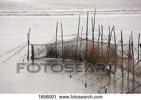 Salmon Nets, Dumfries And Galloway, Scotland View Large Photo Image Stock Image - Salmon Nets, Dumfries And Galloway, Scotland. Fotosearch