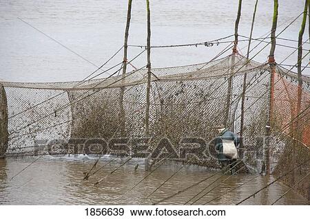 Stock Photo - Salmon Nets, Dumfries And Galloway, Scotland. Fotosearch